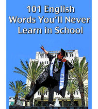 101 English Words you'll never learn at school