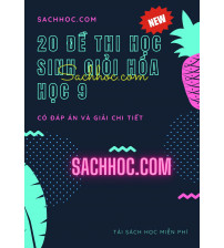 20 đề thi học sinh giỏi hóa học 9 - Có đáp án và giải chi tiết