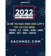 20 đề thi học sinh giỏi lớp 9 tất cả các môn Toán Lý Hóa Văn Anh Sinh Sử Địa Giáo dục công dân
