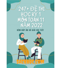 247+ đề thi học kỳ 1 môn toán 11 năm 2022
