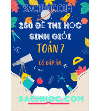 250 đề thi bồi dưỡng học sinh giỏi toán 7 (có đáp án)