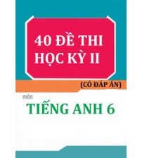 40 đề thi học kỳ 2 môn tiếng anh 6 (có đáp án)