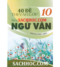 40 đề thi thử vào lớp 10 môn ngữ văn năm học 2022-2023
