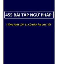 455 Bài tập trắc nghiệm ngữ pháp Tiếng Anh lớp 11 (có đáp án)