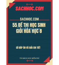 55 đề thi học sinh giỏi hóa học 8 - Có đáp án và lời giải chi tiết