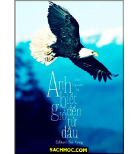 Anh Biết Gió Đến Từ Đâu