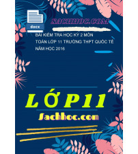 Bài kiểm tra học kỳ 2 môn Toán lớp 11 trường THPT Quốc tế năm học 2016