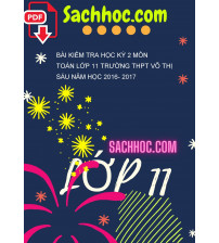Bài kiểm tra học kỳ 2 môn Toán lớp 11 trường THPT Võ thị sáu năm học 2016- 2017