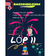 Bài kiểm tra học kỳ 2 môn Toán lớp 11 trường THPT Nguyễn trãi năm học 2016