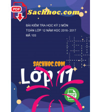 Bài kiểm tra học kỳ 2 môn Toán lớp 12 năm học 2016- 2017 mã 103