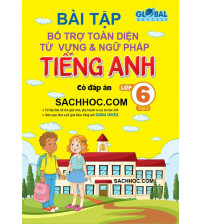 Bài tập bổ trợ toàn diện Từ vựng và Ngữ pháp tiếng anh 6 Global Success tập 2