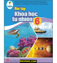 Bài tập Khoa học Tự nhiên 6 - Cánh diều