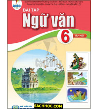 Bải tập Ngữ Văn 6 Tập 1 - Cánh diều