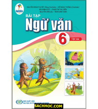 Bải tập Ngữ Văn 6 Tập 2 - Cánh diều