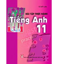 Bài Tập Thực Hành Tiếng Anh 11 - Vũ Mỹ Lan