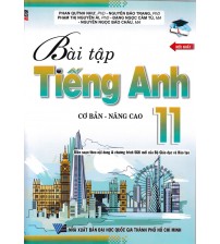 Bài tập tiếng anh cơ bản - nâng cao 11