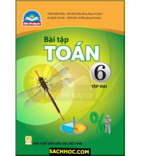 Bài tập Toán 6 tập 2 - Chân trời sáng tạo