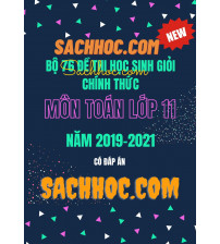Bộ 76 đề thi học sinh giỏi chính thức môn toán 11 năm 2019 - 2020 - 2021