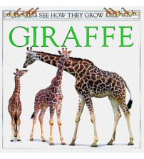 Bộ truyện tiếng anh: See How They Grow