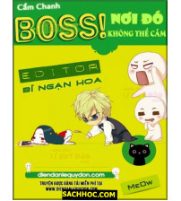 Boss, Nơi Đó Không Thể Cắm