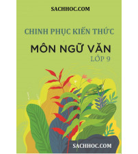 Chinh phục kiến thức ngữ văn 9