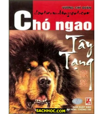 Chó Ngao Tây Tạng