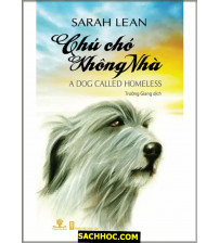 Chú Chó Không Nhà