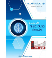 Chuyên đề phục dựng hình ẩn - Nguyễn Hoàng Việt