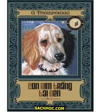 Con Bim Trắng Tai Đen