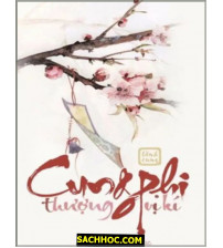 Cung phi thượng vị ký