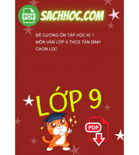 Đề cương ôn tập học kì 1 môn Văn lớp 9 THCS Tân Bình chọn lọc