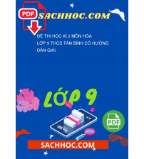 Đề thi học kì 2 môn Hóa lớp 9 THCS Tân Bình có hướng dẫn giải