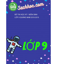 Đề Thi Học Kỳ 1 Môn Sinh Lớp 9 Quảng Nam 2018-2019