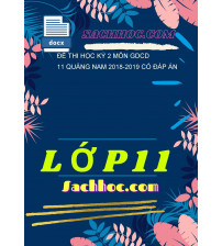 Đề Thi Học Kỳ 2 Môn GDCD 11 Quảng Nam 2018-2019 Có Đáp Án