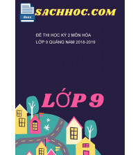 Đề Thi Học Kỳ 2 Môn Hóa Lớp 9 Quảng Nam 2018-2019