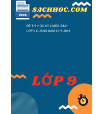 Đề Thi Học Kỳ 2 Môn Sinh Lớp 9 Quảng Nam 2018-2019