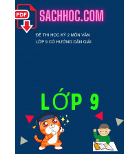 Đề thi học kỳ 2 môn Văn lớp 9 có hướng dẫn giải