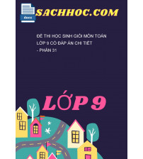 Đề thi học sinh giỏi môn Toán lớp 9 có đáp án chi tiết - Phần 31