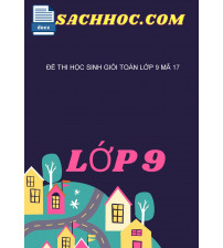 Đề thi học sinh giỏi toán lớp 9 mã 17