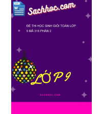 Đề thi học sinh giỏi toán lớp 9 mã 318 phần 2