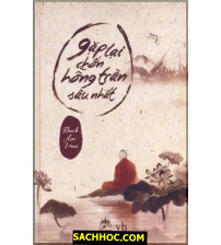 Gặp Lại Chốn Hồng Trần Sâu Nhất