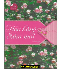 Hoa Hồng Sớm Mai