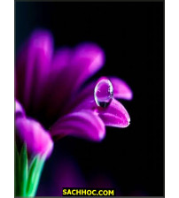 Màu Xanh Huyền Bí