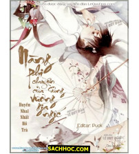 Nàng Phi Chuyên Sủng Của Vương Gia Ngốc