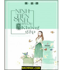 Ninh Tiên Sinh, Đã Lâu Không Gặp!