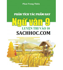 Phân tích tác phẩm hay ngữ văn 9 luyện thi vào 10