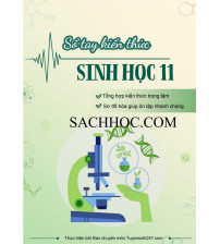 Sổ tay kiến thức Sinh học 11