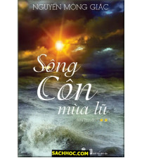 Sông Côn mùa Lũ - Tập 2