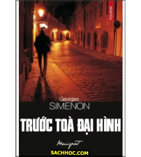 Trước Tòa Đại Hình