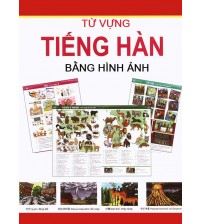 Từ vựng tiếng hàn bằng hình ảnh